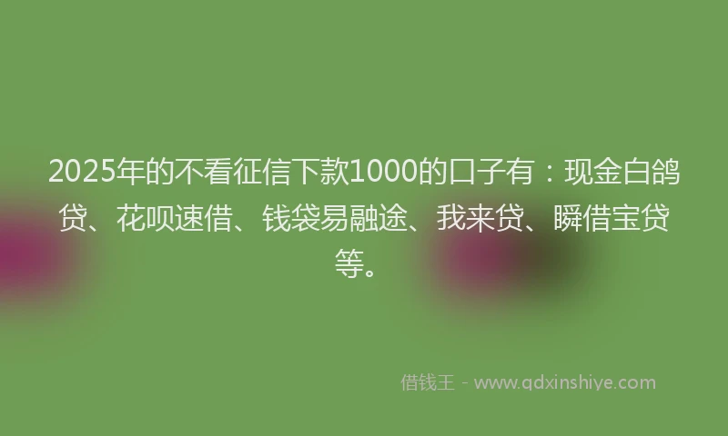 2025年的不看征信下款1000的口子有：现金白鸽贷、花呗速借、钱袋易融途、我来贷、瞬借宝贷等。