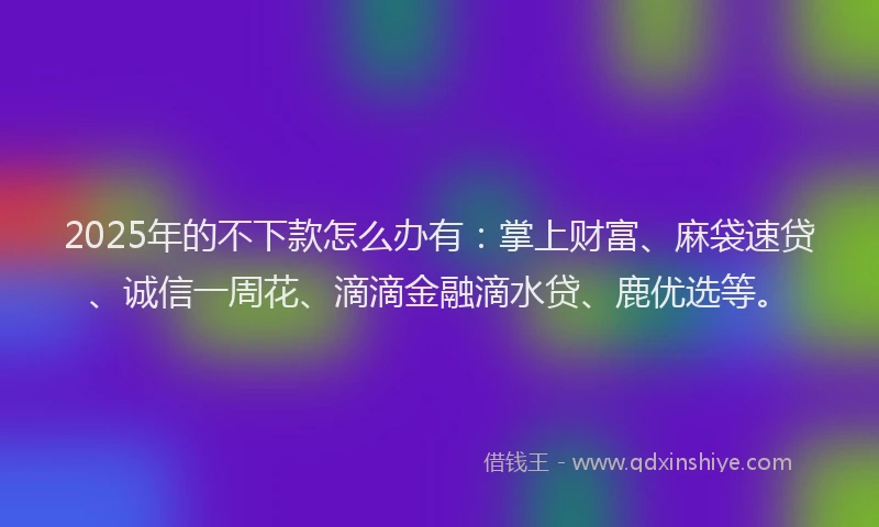 2025年的不下款怎么办有：掌上财富、麻袋速贷、诚信一周花、滴滴金融滴水贷、鹿优选等。