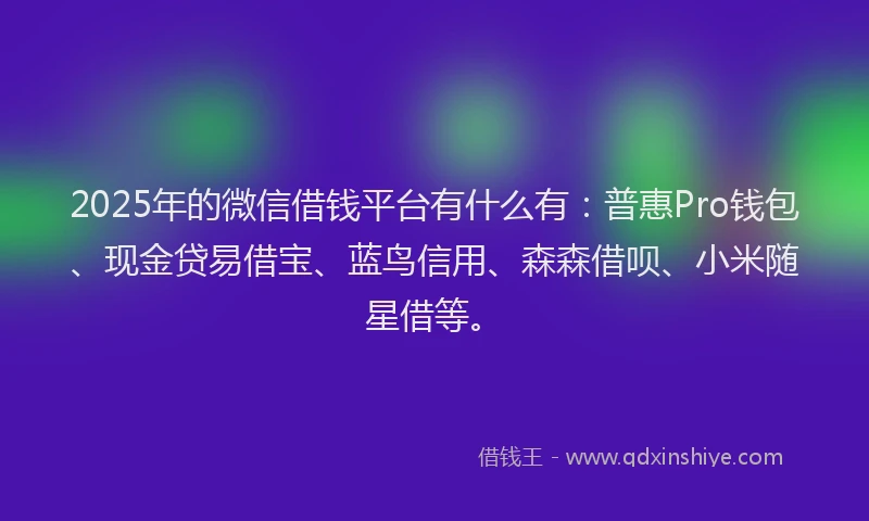 2025年的微信借钱平台有什么有：普惠Pro钱包、现金贷易借宝、蓝鸟信用、森森借呗、小米随星借等。