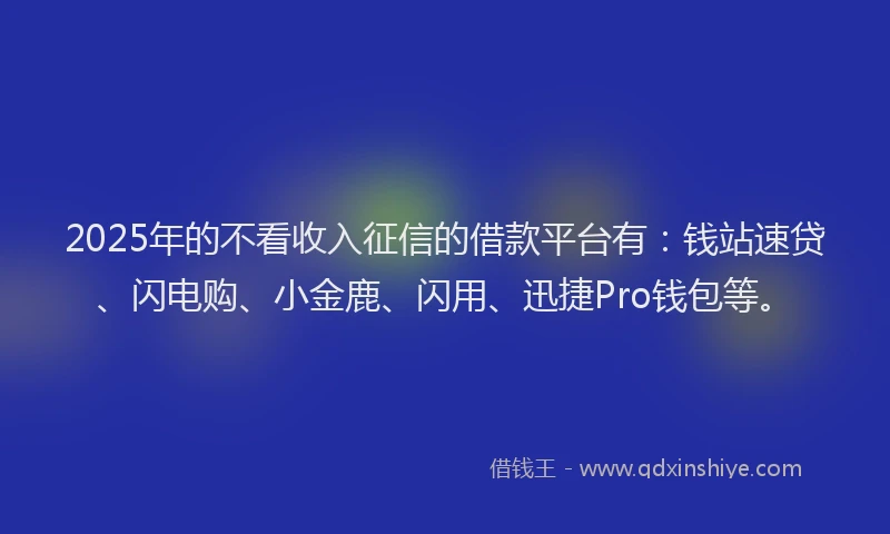 2025年的不看收入征信的借款平台有：钱站速贷、闪电购、小金鹿、闪用、迅捷Pro钱包等。