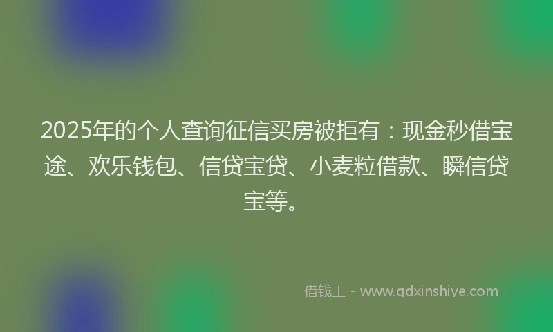 2025年的个人查询征信买房被拒有：现金秒借宝途、欢乐钱包、信贷宝贷、小麦粒借款、瞬信贷宝等。