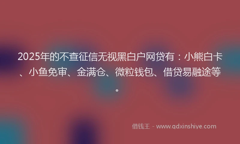 2025年的不查征信无视黑白户网贷有：小熊白卡、小鱼免审、金满仓、微粒钱包、借贷易融途等。