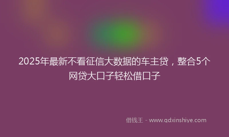 2025年最新不看征信大数据的车主贷，整合5个网贷大口子轻松借口子