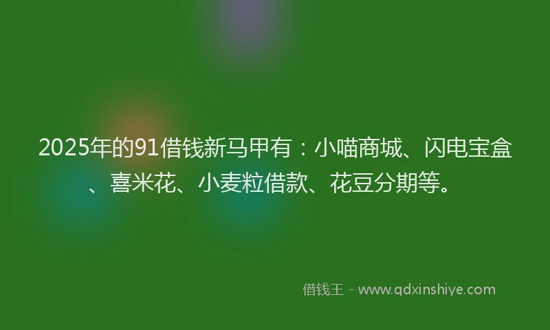 2025年的91借钱新马甲有：小喵商城、闪电宝盒、喜米花、小麦粒借款、花豆分期等。