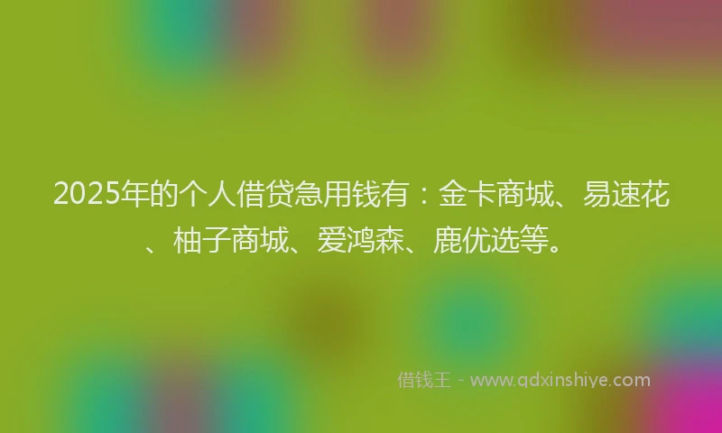 2025年的个人借贷急用钱有：金卡商城、易速花、柚子商城、爱鸿森、鹿优选等。