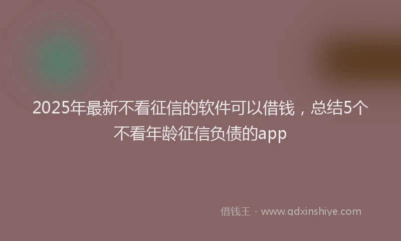 2025年最新不看征信的软件可以借钱，总结5个不看年龄征信负债的app