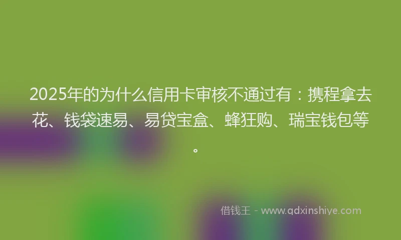 2025年的为什么信用卡审核不通过有：携程拿去花、钱袋速易、易贷宝盒、蜂狂购、瑞宝钱包等。