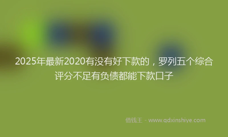 2025年最新2020有没有好下款的，罗列五个综合评分不足有负债都能下款口子