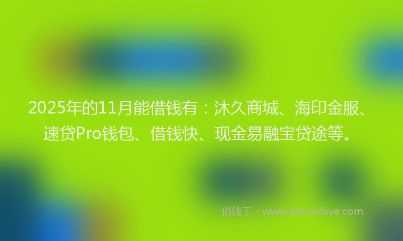 2025年的11月能借钱有：沐久商城、海印金服、速贷Pro钱包、借钱快、现金易融宝贷途等。