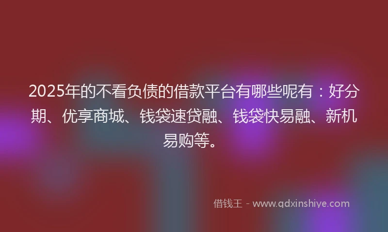 2025年的不看负债的借款平台有哪些呢有：好分期、优享商城、钱袋速贷融、钱袋快易融、新机易购等。