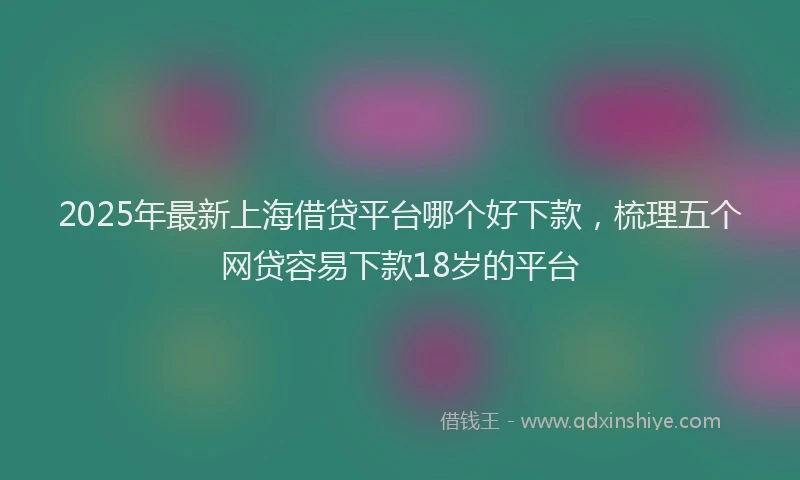 2025年最新上海借贷平台哪个好下款，梳理五个网贷容易下款18岁的平台