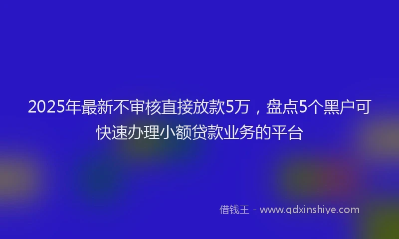 2025年最新不审核直接放款5万，盘点5个黑户可快速办理小额贷款业务的平台