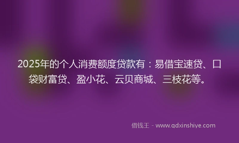 2025年的个人消费额度贷款有：易借宝速贷、口袋财富贷、盈小花、云贝商城、三枝花等。