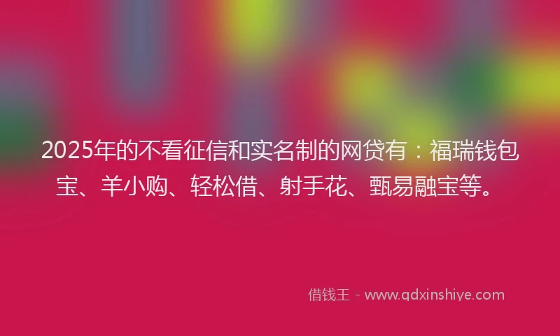 2025年的不看征信和实名制的网贷有：福瑞钱包宝、羊小购、轻松借、射手花、甄易融宝等。
