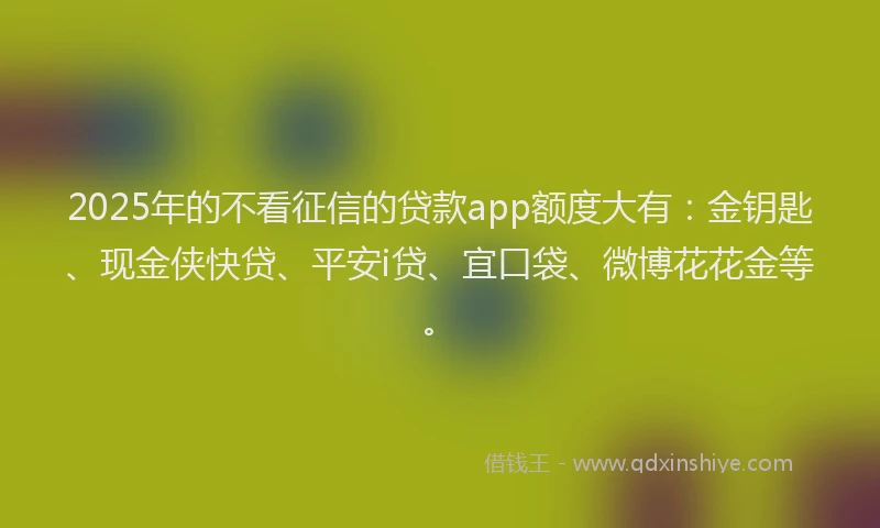 2025年的不看征信的贷款app额度大有：金钥匙、现金侠快贷、平安i贷、宜口袋、微博花花金等。