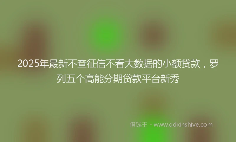 2025年最新不查征信不看大数据的小额贷款，罗列五个高能分期贷款平台新秀