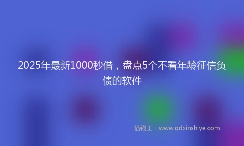 2025年最新1000秒借，盘点5个不看年龄征信负债的软件