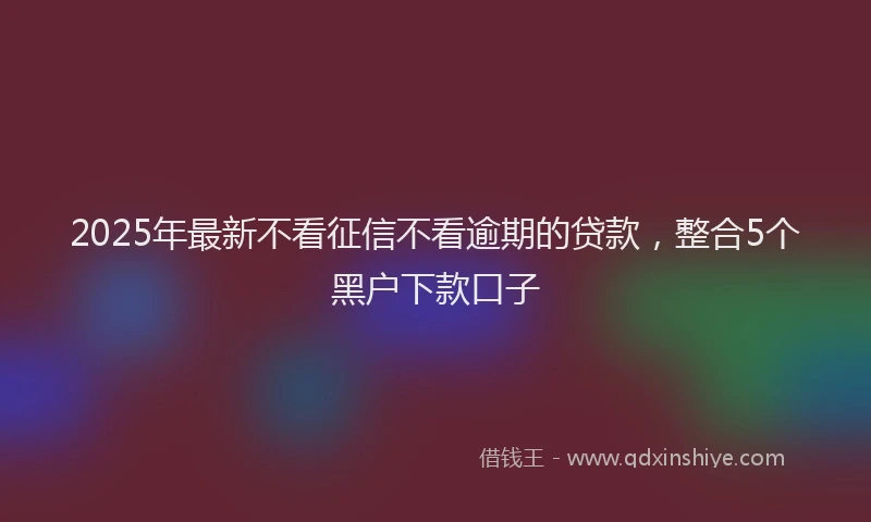 2025年最新不看征信不看逾期的贷款，整合5个黑户下款口子