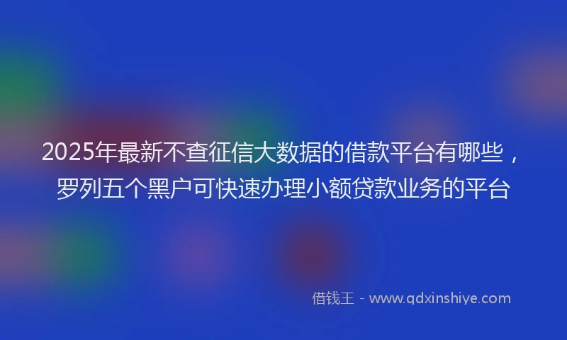 2025年最新不查征信大数据的借款平台有哪些，罗列五个黑户可快速办理小额贷款业务的平台
