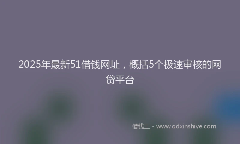 2025年最新51借钱网址，概括5个极速审核的网贷平台