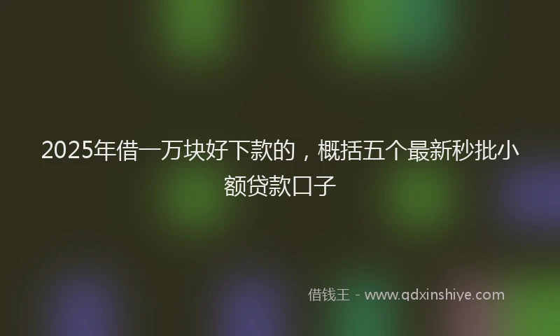 2025年借一万块好下款的，概括五个最新秒批小额贷款口子