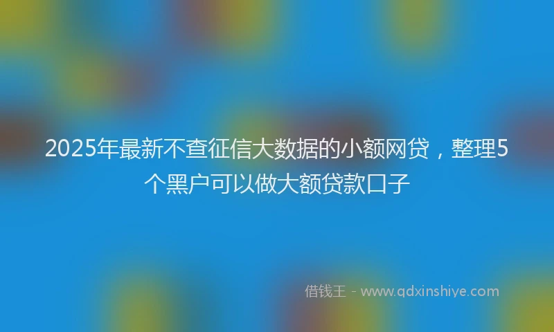2025年最新不查征信大数据的小额网贷，整理5个黑户可以做大额贷款口子
