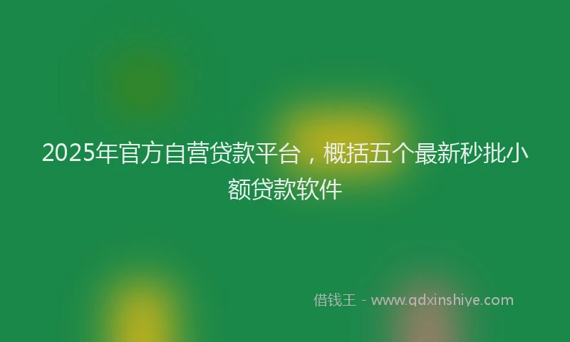 2025年官方自营贷款平台，概括五个最新秒批小额贷款软件