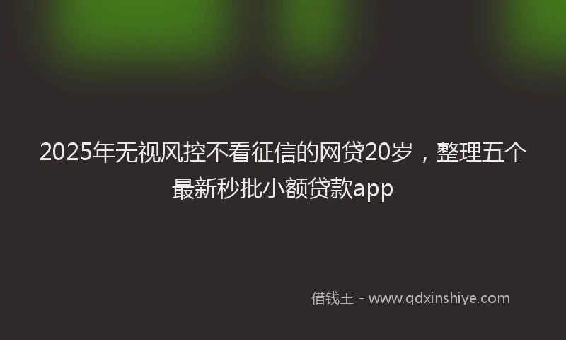 2025年无视风控不看征信的网贷20岁，整理五个最新秒批小额贷款app