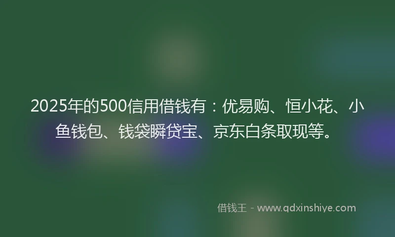 2025年的500信用借钱有：优易购、恒小花、小鱼钱包、钱袋瞬贷宝、京东白条取现等。