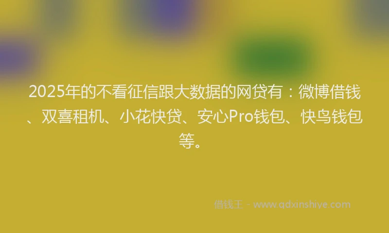 2025年的不看征信跟大数据的网贷有：微博借钱、双喜租机、小花快贷、安心Pro钱包、快鸟钱包等。