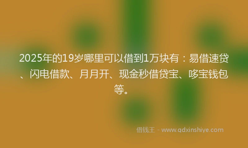 2025年的19岁哪里可以借到1万块有：易借速贷、闪电借款、月月开、现金秒借贷宝、哆宝钱包等。
