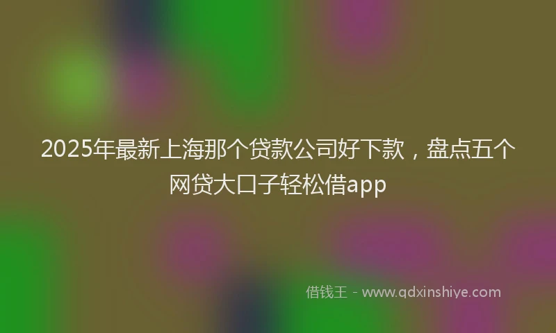 2025年最新上海那个贷款公司好下款，盘点五个网贷大口子轻松借app