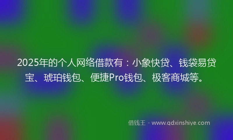 2025年的个人网络借款有：小象快贷、钱袋易贷宝、琥珀钱包、便捷Pro钱包、极客商城等。