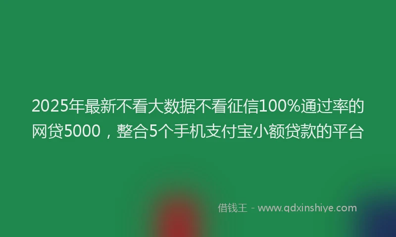 2025年最新不看大数据不看征信100%通过率的网贷5000，整合5个手机支付宝小额贷款的平台