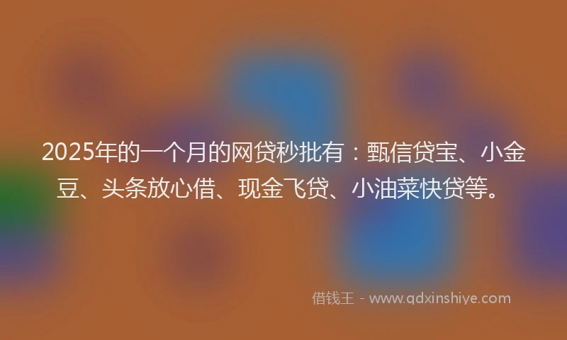 2025年的一个月的网贷秒批有：甄信贷宝、小金豆、头条放心借、现金飞贷、小油菜快贷等。