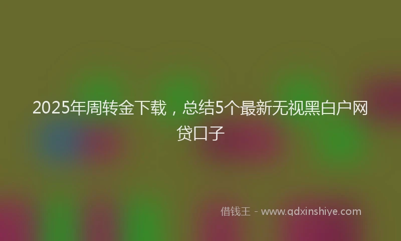 2025年周转金下载，总结5个最新无视黑白户网贷口子