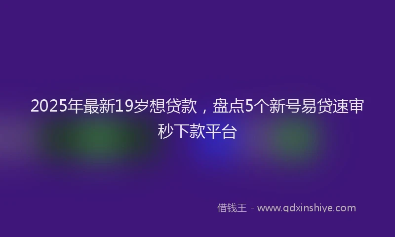 2025年最新19岁想贷款，盘点5个新号易贷速审秒下款平台