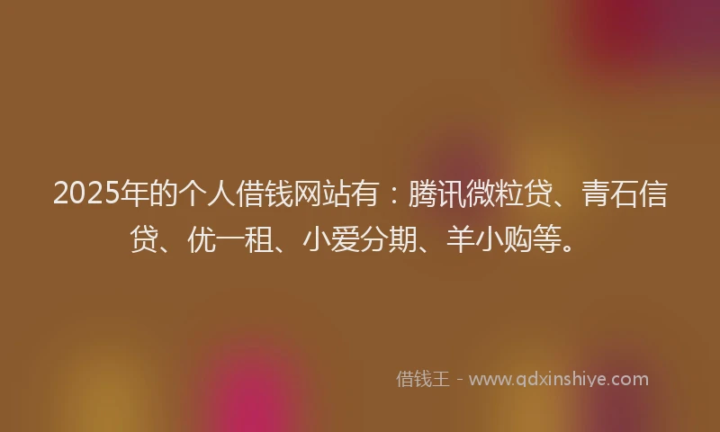 2025年的个人借钱网站有：腾讯微粒贷、青石信贷、优一租、小爱分期、羊小购等。