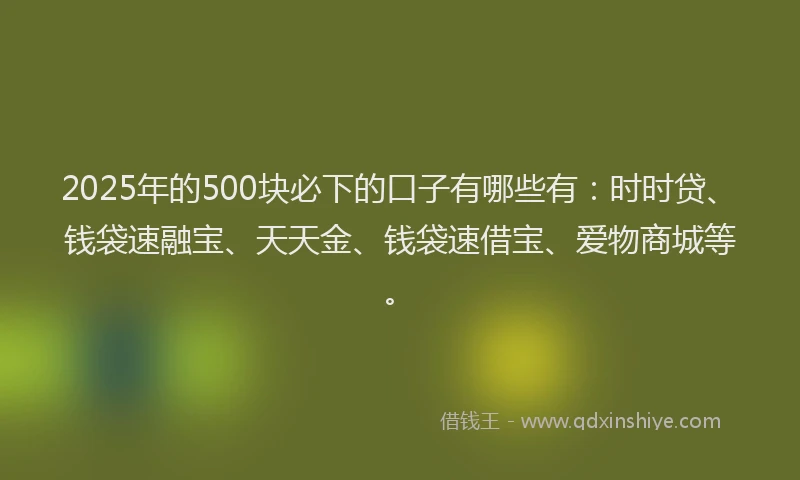 2025年的500块必下的口子有哪些有：时时贷、钱袋速融宝、天天金、钱袋速借宝、爱物商城等。