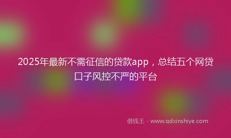 2025年最新不需征信的贷款app，总结五个网贷口子风控不严的平台