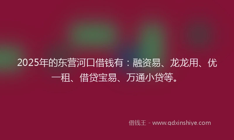 2025年的东营河口借钱有：融资易、龙龙用、优一租、借贷宝易、万通小贷等。