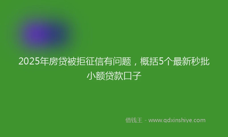 2025年房贷被拒征信有问题，概括5个最新秒批小额贷款口子