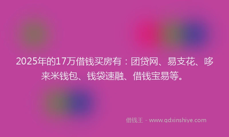 2025年的17万借钱买房有：团贷网、易支花、哆来米钱包、钱袋速融、借钱宝易等。