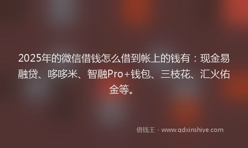 2025年的微信借钱怎么借到帐上的钱有：现金易融贷、哆哆米、智融Pro+钱包、三枝花、汇火佑金等。