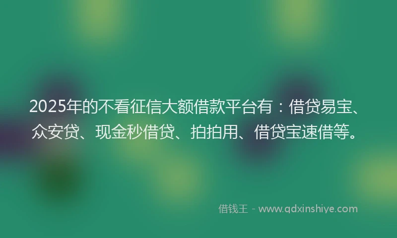 2025年的不看征信大额借款平台有：借贷易宝、众安贷、现金秒借贷、拍拍用、借贷宝速借等。