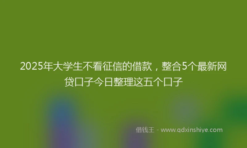 2025年大学生不看征信的借款，整合5个最新网贷口子今日整理这五个口子