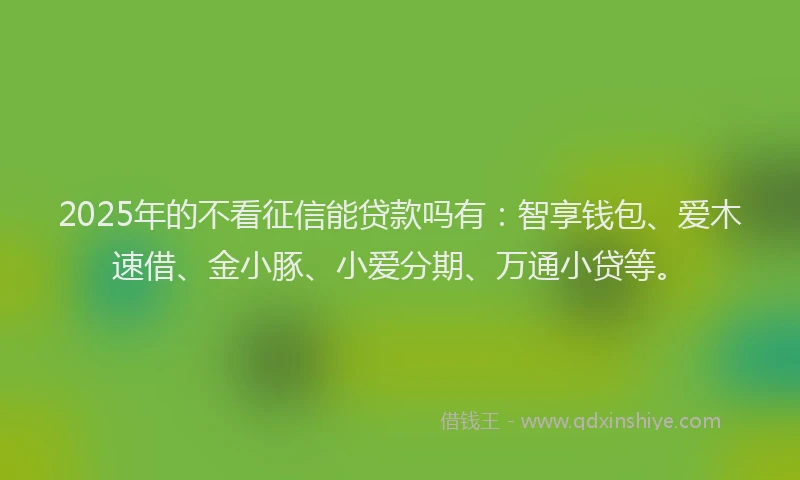 2025年的不看征信能贷款吗有：智享钱包、爱木速借、金小豚、小爱分期、万通小贷等。