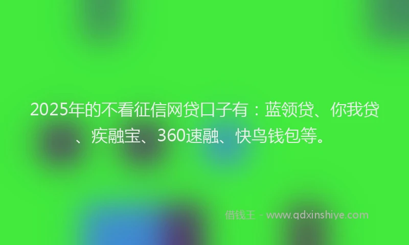 2025年的不看征信网贷口子有：蓝领贷、你我贷、疾融宝、360速融、快鸟钱包等。