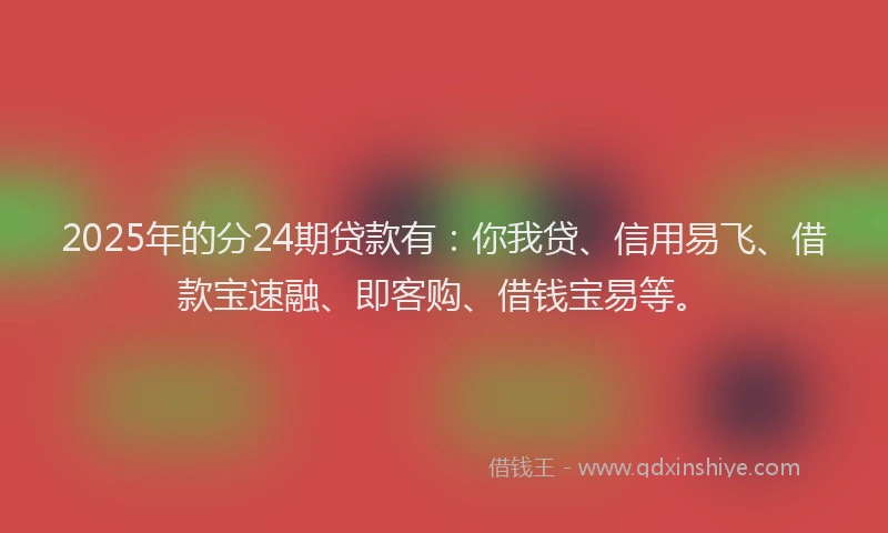 2025年的分24期贷款有：你我贷、信用易飞、借款宝速融、即客购、借钱宝易等。