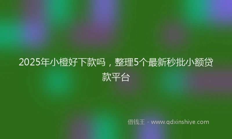 2025年小橙好下款吗，整理5个最新秒批小额贷款平台